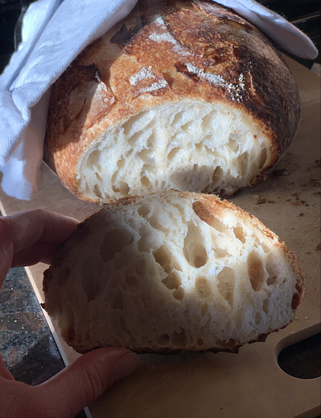 Honed my sourdough routine and got some enviable air bubbles going on.