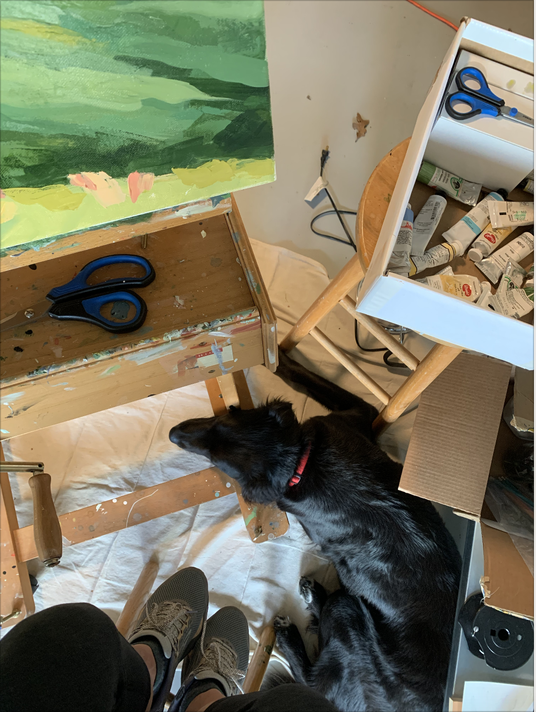 My studio buddy helping me with a commission
