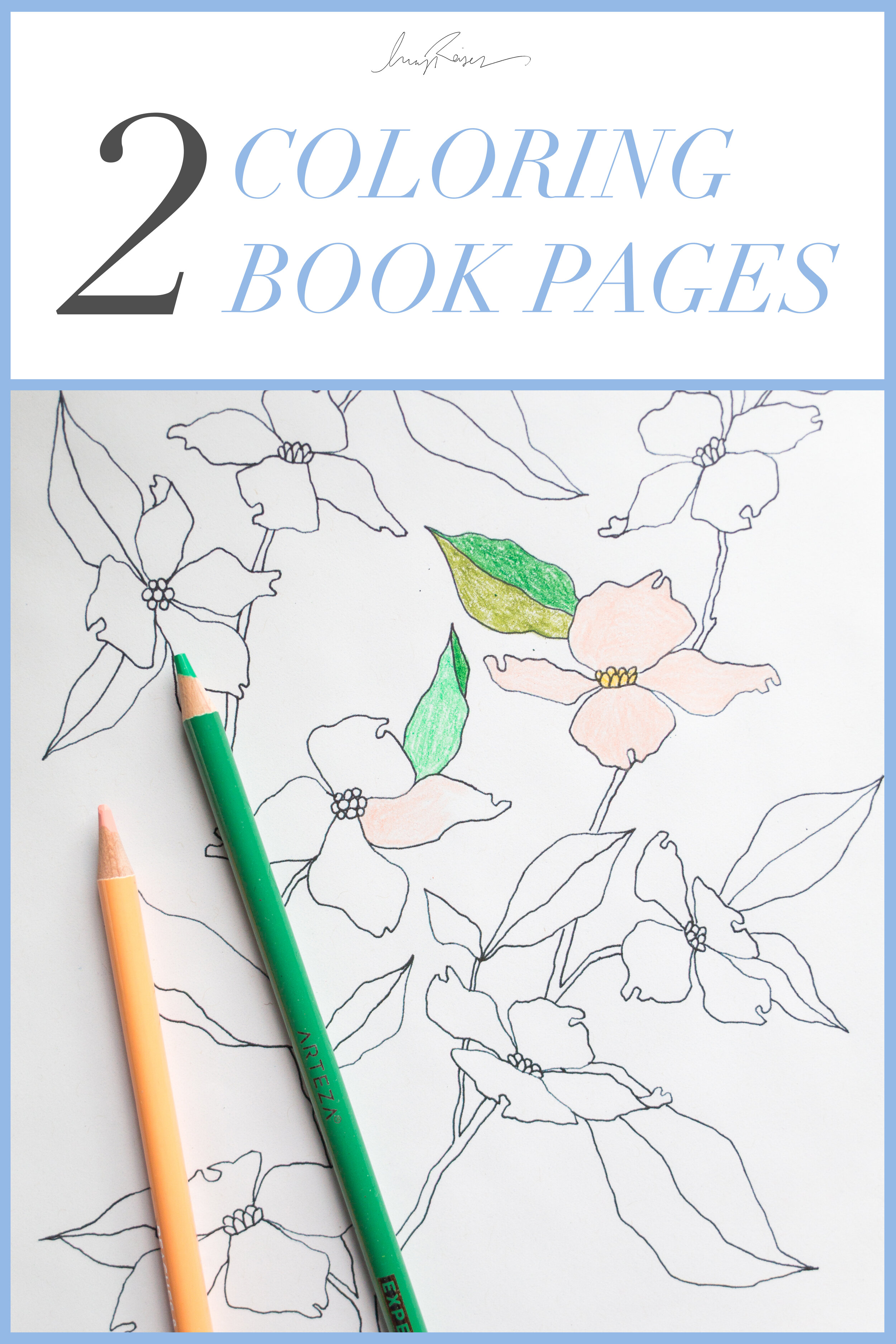 2coloringbookpagescover.jpg