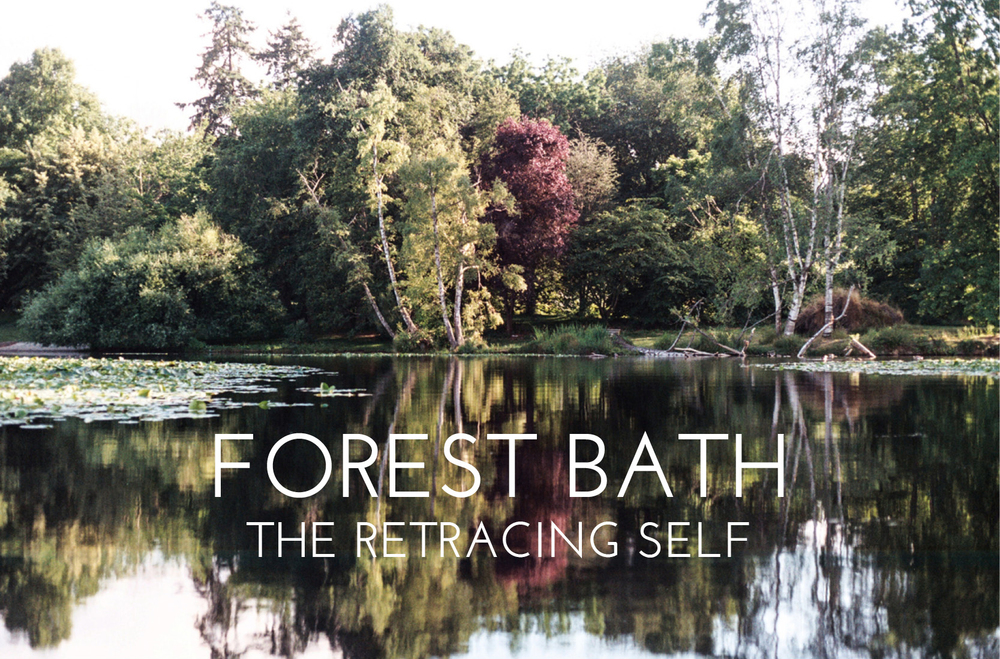 Forest-bath-square.jpg