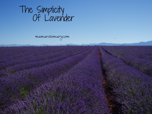 The Simplicity Of Lavender — Mama Rosemary