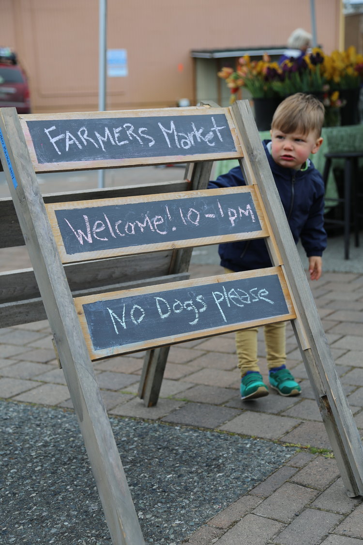 Bring your kids to Friday Harbor's Farmer's Market  Lisette Wolter-McKinley