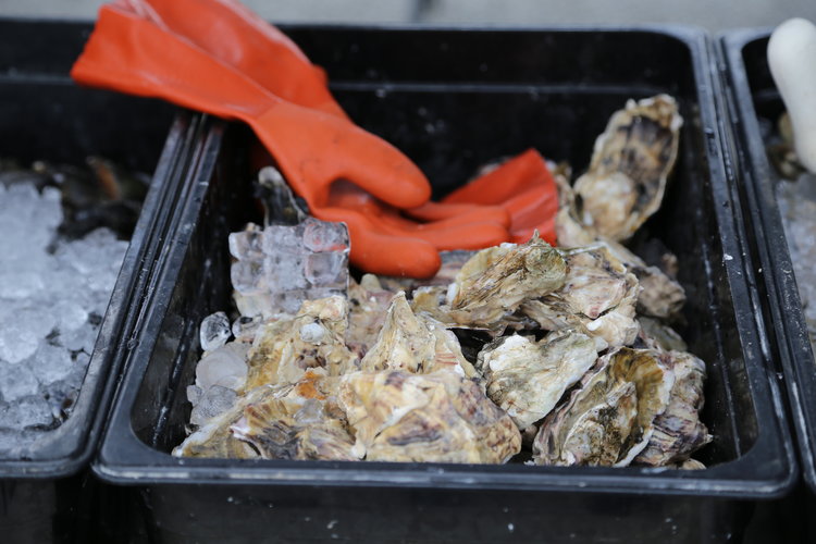 Local oysters at San Juan Island's Farmer's Market  Lisette Wolter-McKinley