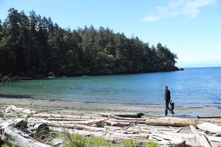 San Juan Island's beaches are perfect for long walks and beach combing  Lisette Wolter-McKinley