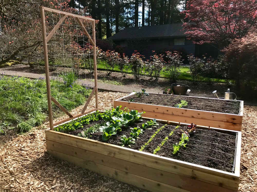 Blog — Portland Edible Gardens: Raised Garden Beds, Edible ...