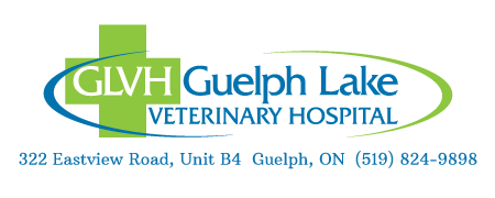 Guelph Lake Veterinary Hospital
