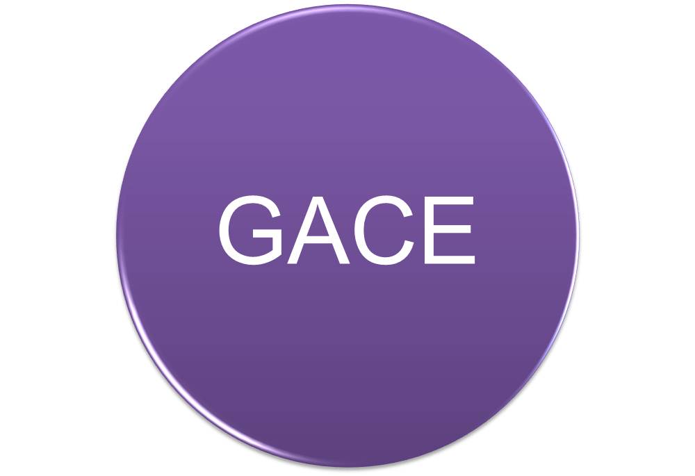 GACE Course — 20/20 Prep Best Test Prep Courses in Atlanta