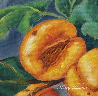 Apricot+Detail+by+Enzie+Shahmiri.jpg