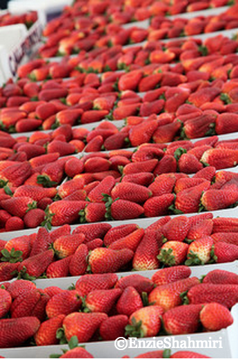 Erdbeeren vom lokalen Markt ©EnzieShahmiri