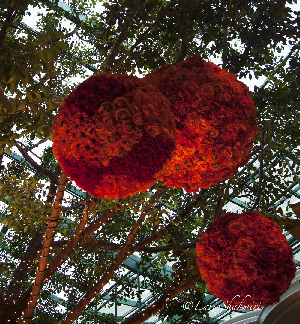 red-rose-flower-balls.jpg