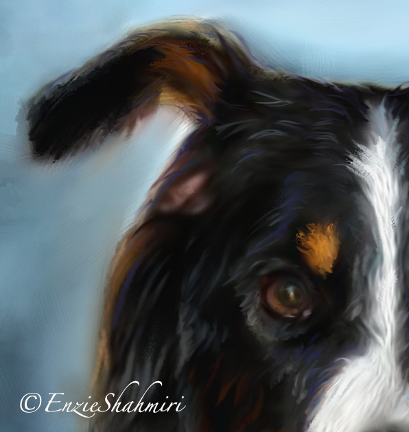 Dog Portrait  Eye Detail