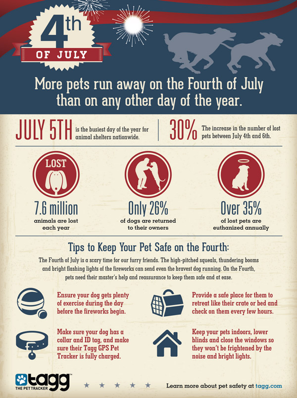 4th-of-july-pets