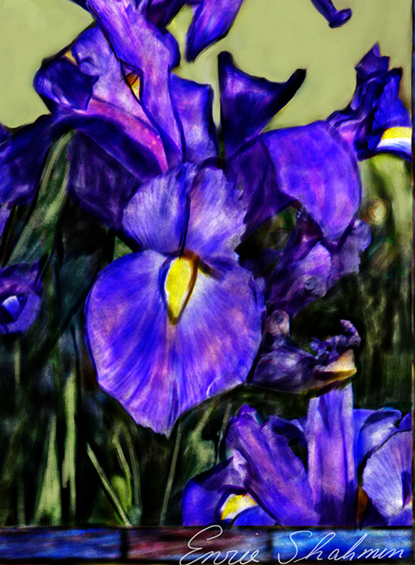 Tiffany-inspiriertes blaues Iris-Detail