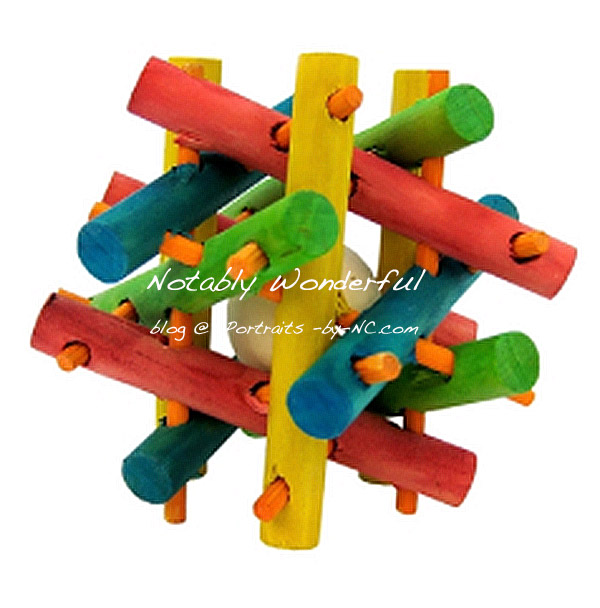 Super Pet Small Animal Nut Knot Nibbler Chew Toy