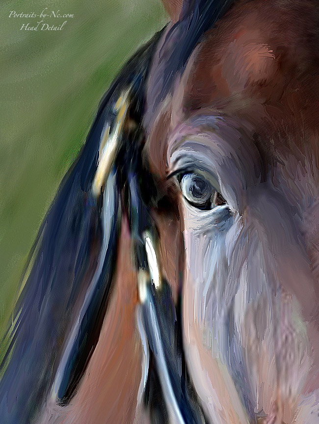 head-detail-horse-portrait.jpg