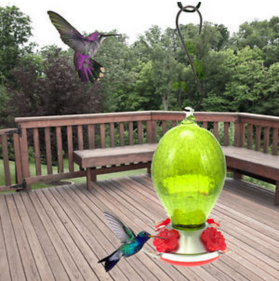 Kolibri-Futterstation
