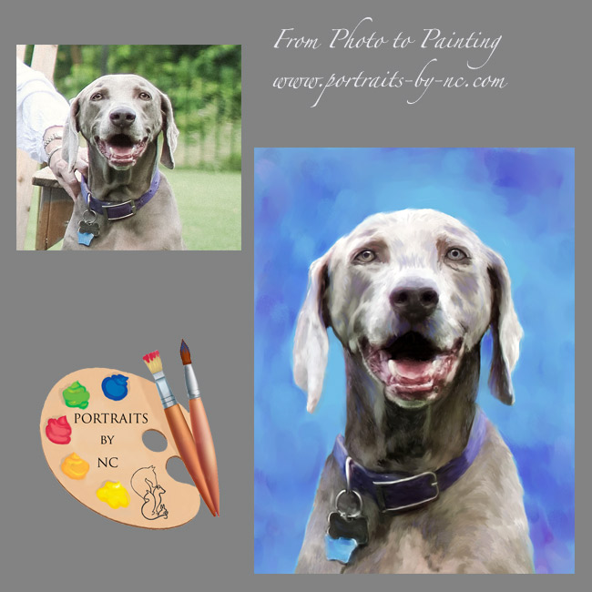 weimaraner-from-photo-to-painting.png