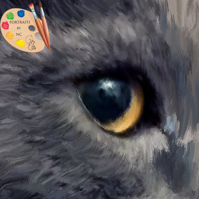 Cat Eye Detail