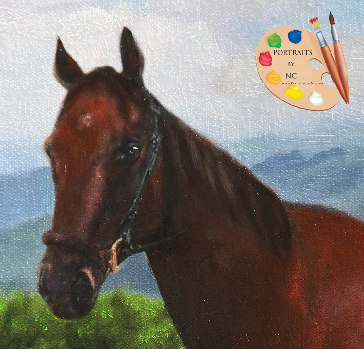 Pferdeporträt-Kopf-Detail.jpg