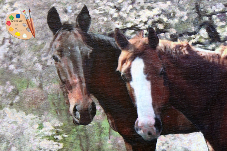 Zwei Pferde-Portrait-Detail
