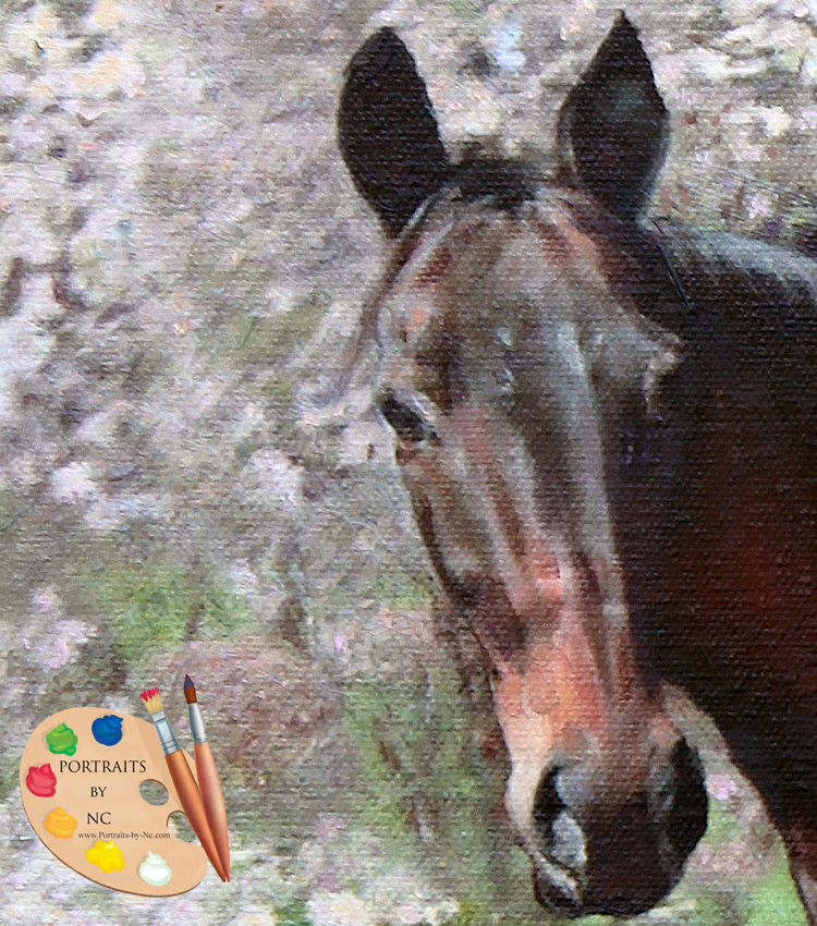 Dunkelbraunes Pferdekopf-Detail