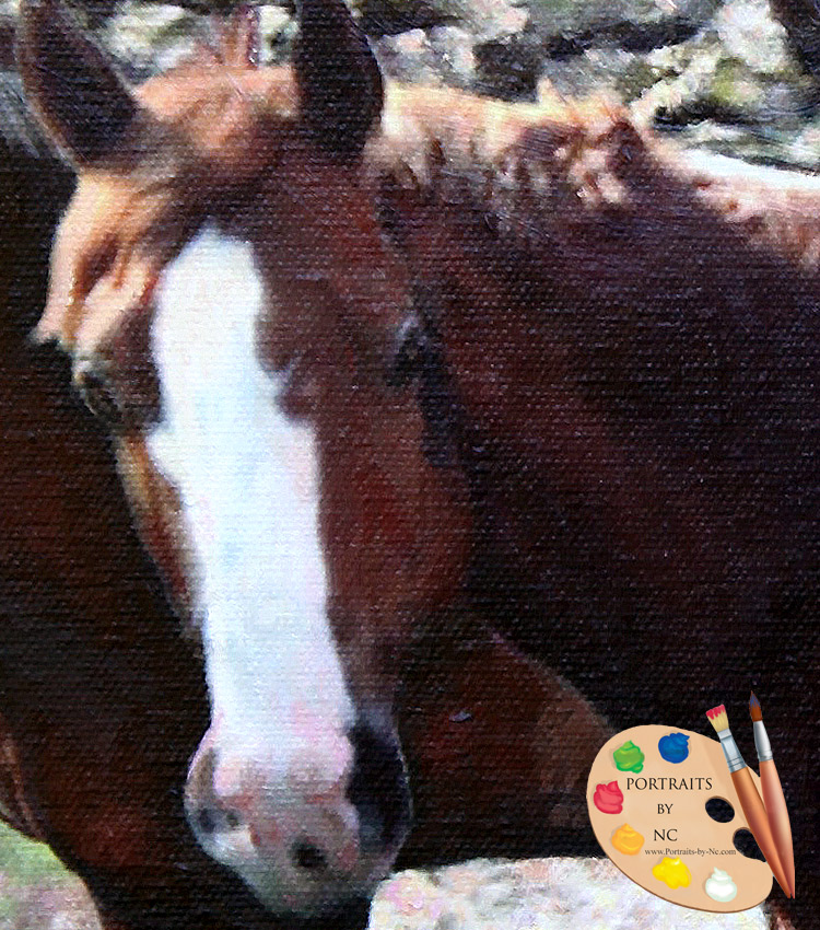 Light Brown Horse Detail