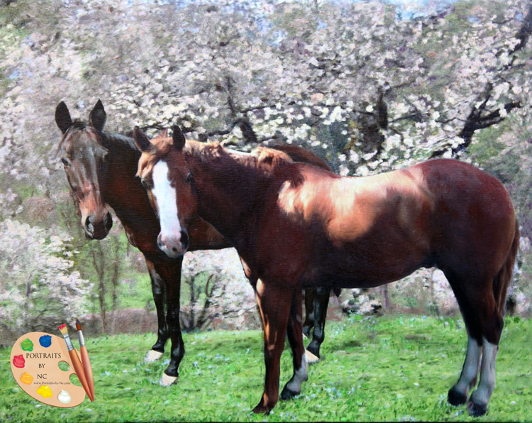 Zwei Pferde und Kirschblütenbäume