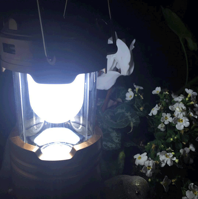 bulldog-rechargeable-solar-lantern.jpg