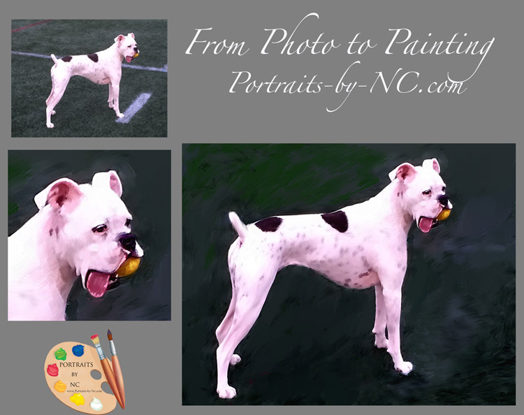 boxer-dog-paintings.jpg