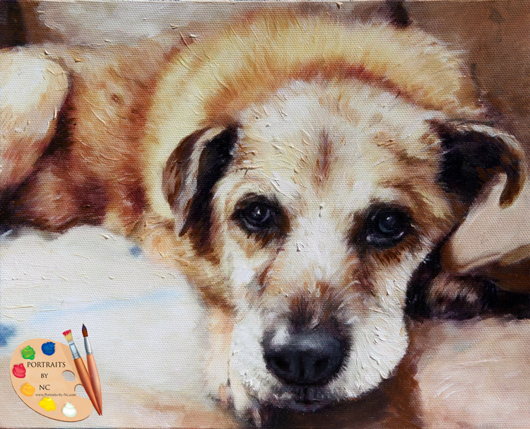 brown-dog-portrait.jpg