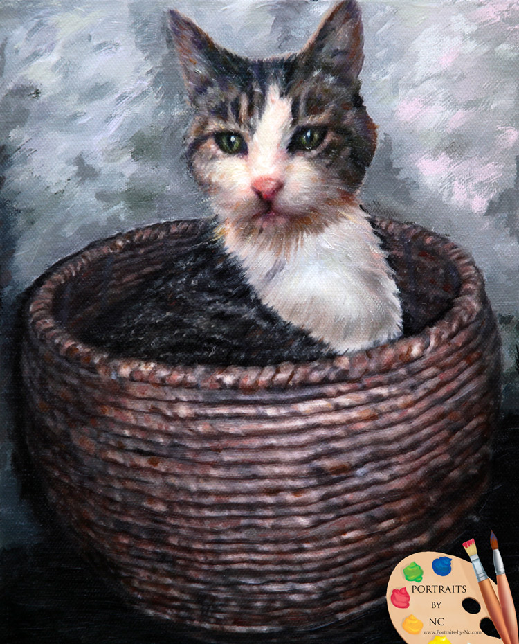 cat-in-basket-portraits-by-nc.jpg