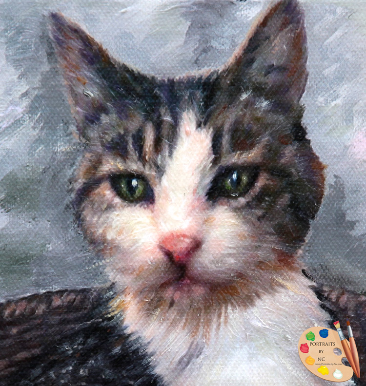 cat-head-detail-portraits-by-nc.jpg