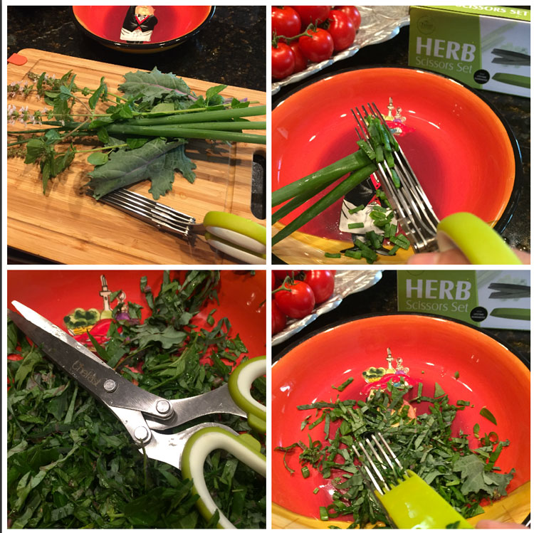 cutting-herbs-with-chefast.jpg