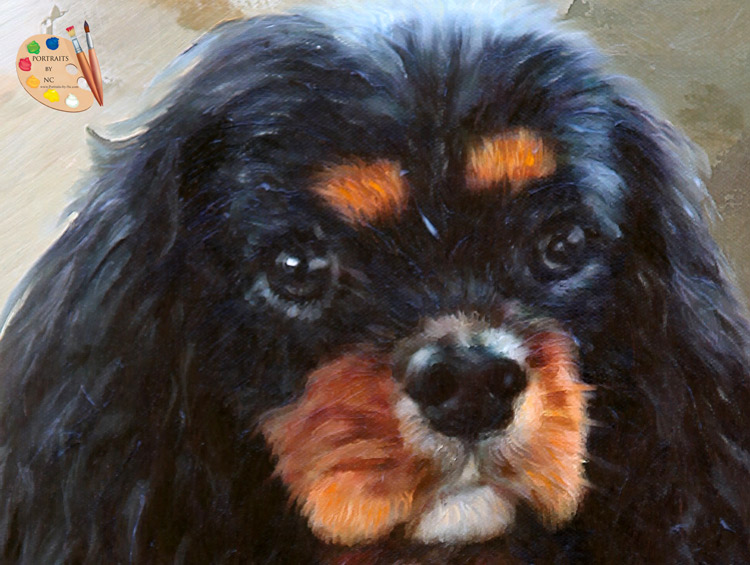 Cavalier King Charles Spaniel Painting by Portraits-by-NC