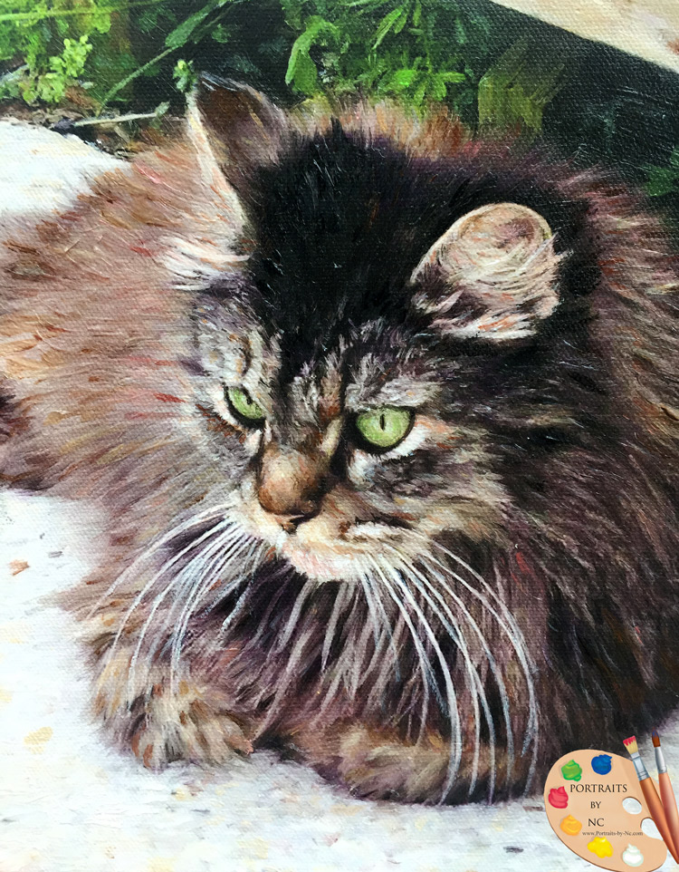 cat-portrait-detail