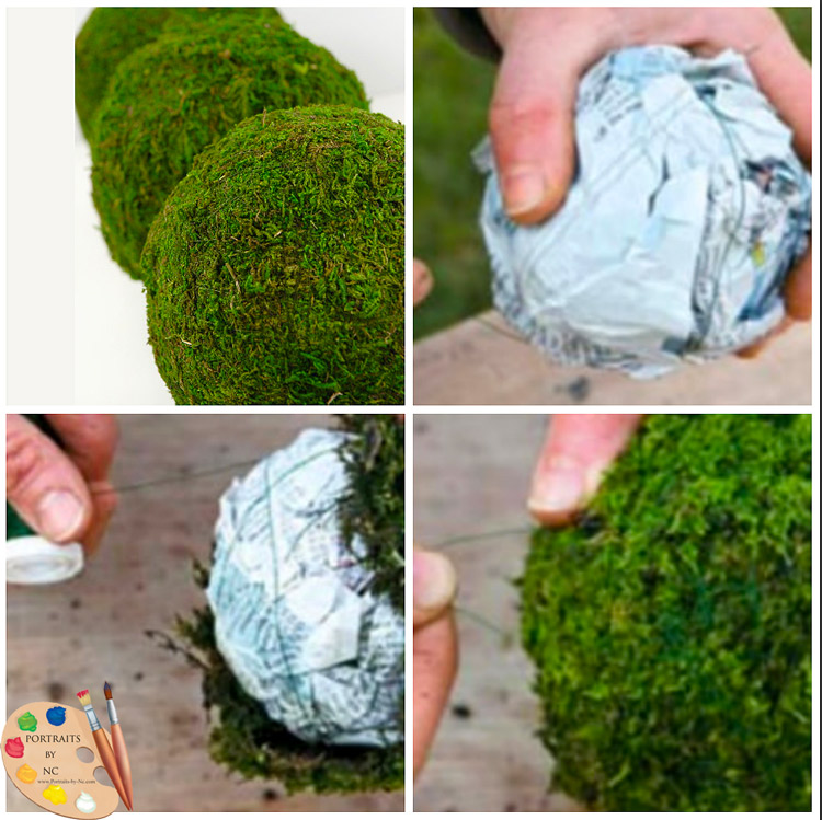 Easy way to make Moss Balls