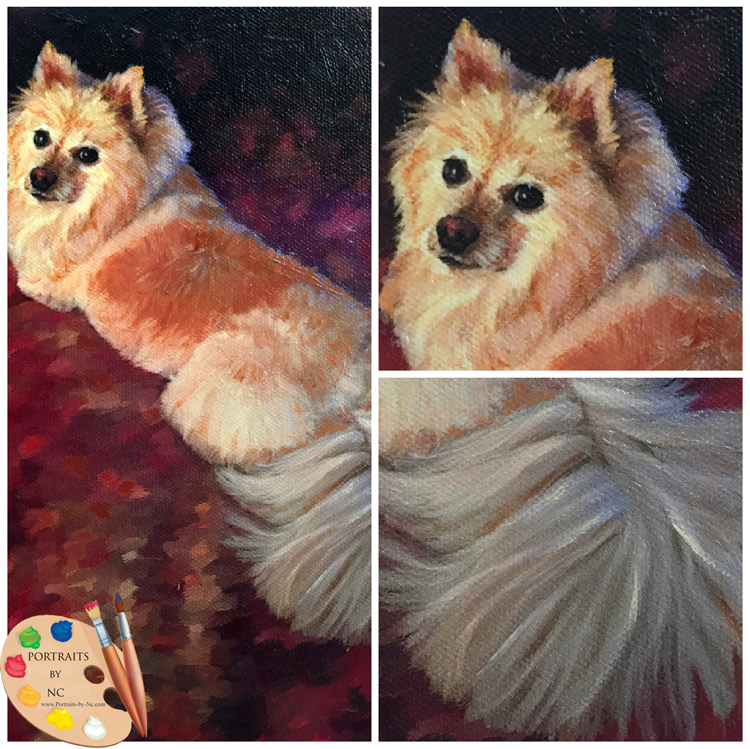 Pomeranian collage