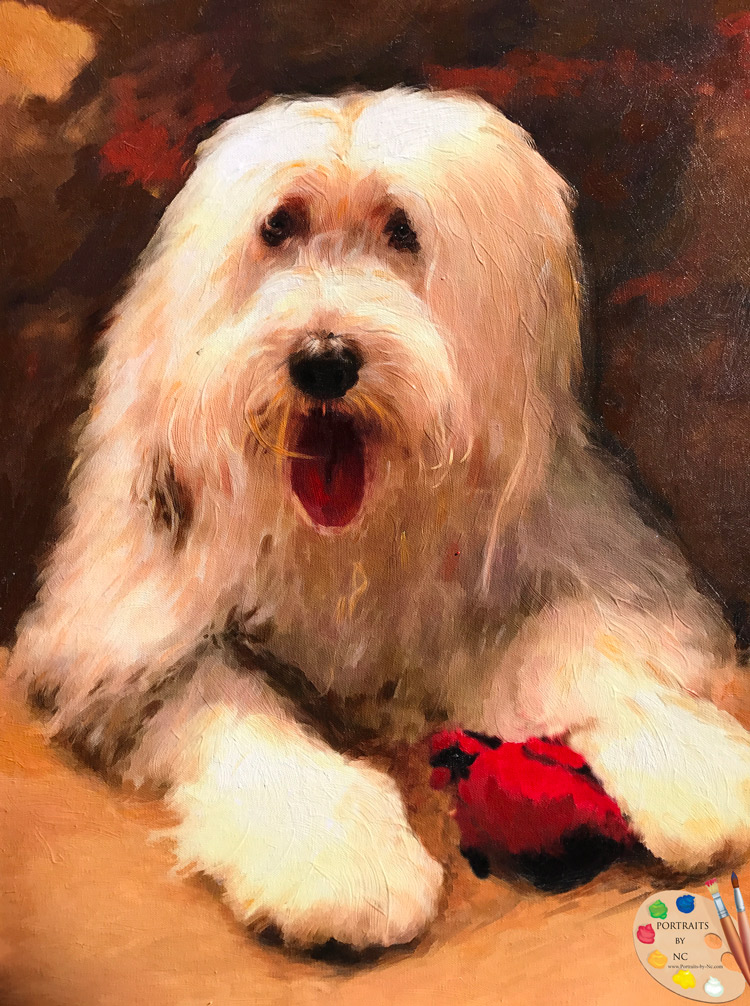 sheepdog-portrait