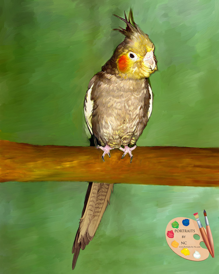Cockatiel painting