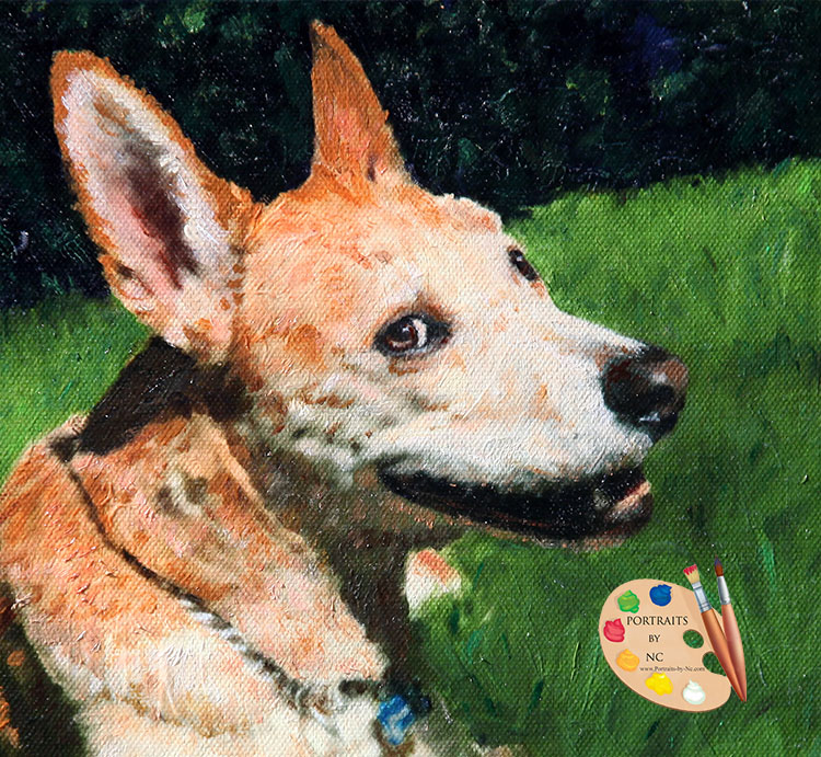 American dingo portrait