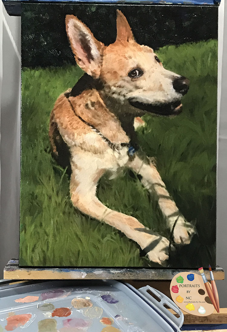 American dingo painting