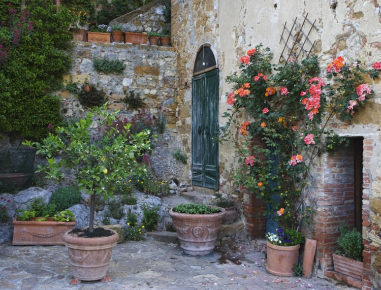 Italy, Petroio. Potted plants decorate a patio Postcard by DanitaDelimont
