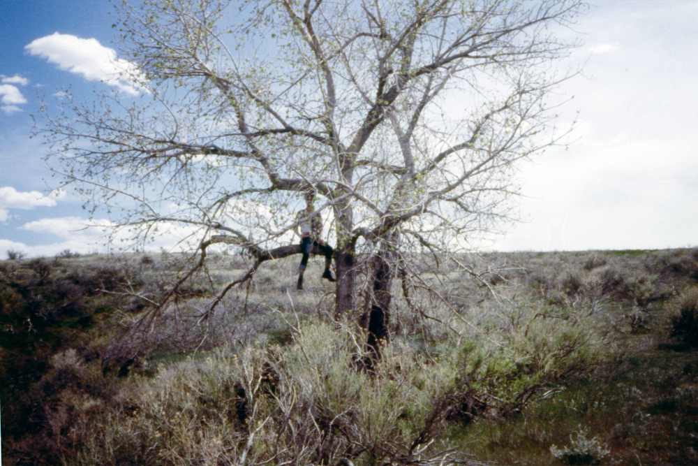 Grandma and I in a tree in Colorado, 2014
