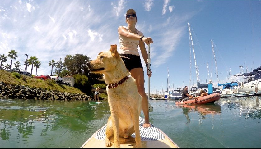 Samantha will assist you with getting you and your dog out on the water 