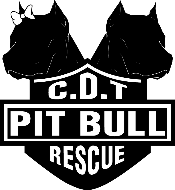 PitBull Rescue BONE MAGNET,4 Dog Cat Pet Charity I LOVE <3 MY PIT BULL 