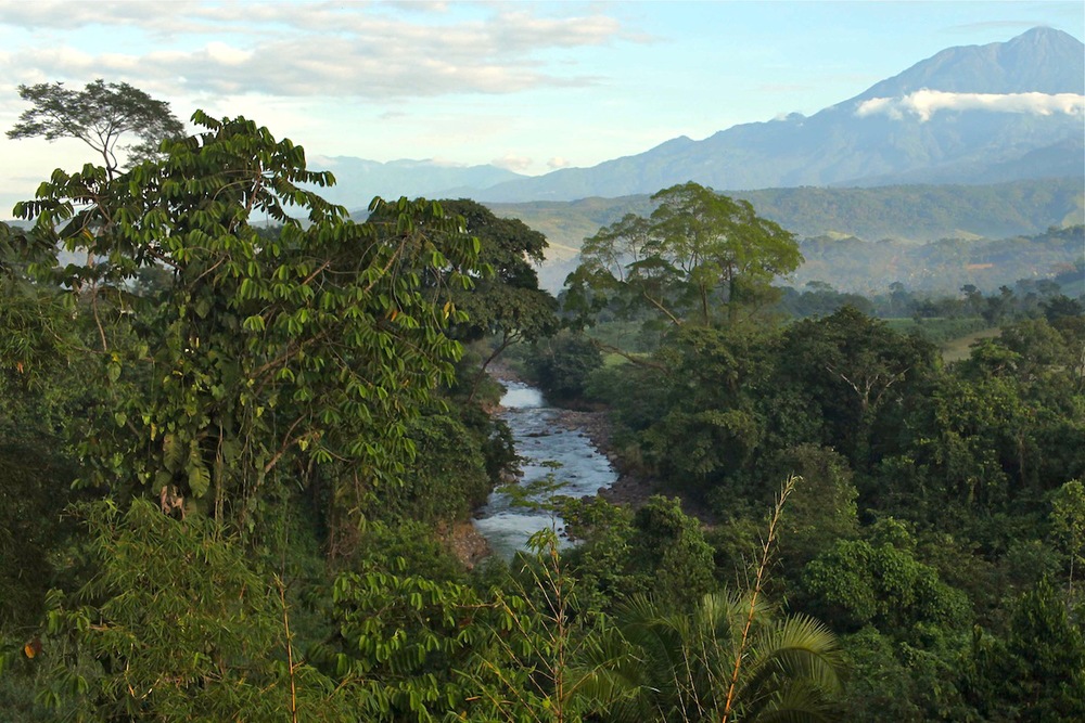  The mountainous terrain of Guatemala 