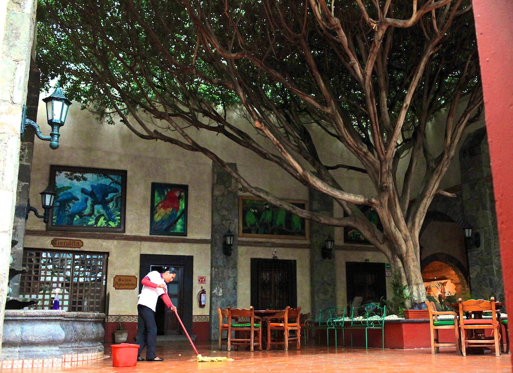  Trees growing inside the Misión San Gil 