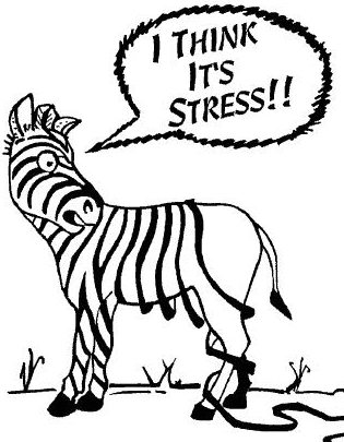 Stress the physical and mental effects of stress
