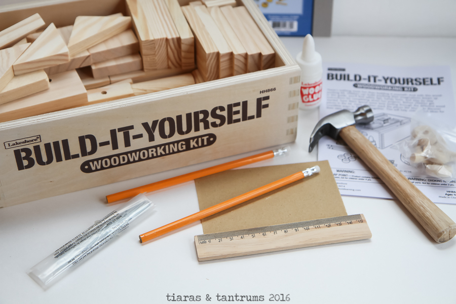 Young Woodworkers Project Kit