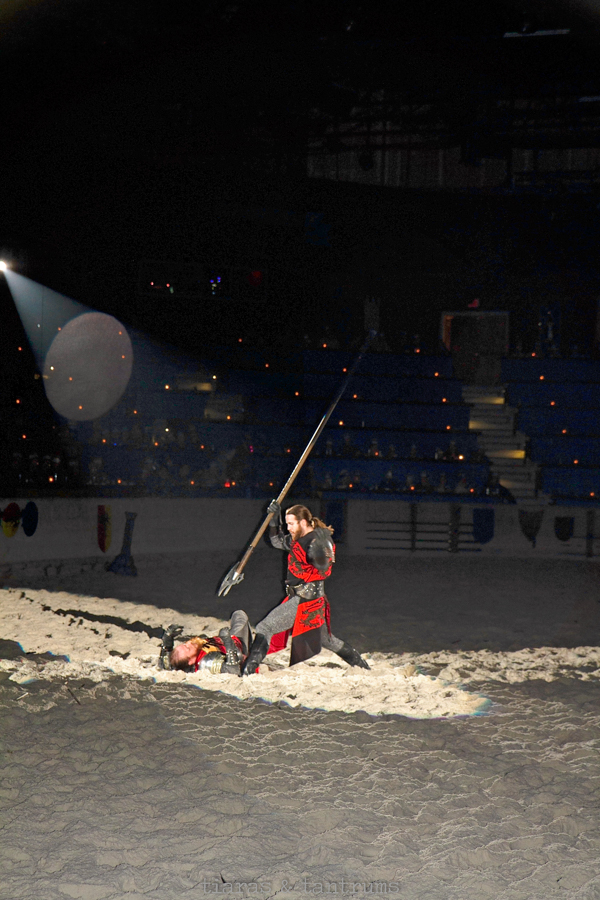 Medieval Times Dinner & Tournament New Show Sovereign | CHICAGO SPECIAL SPRING OFFER #Chicago #ChicagoMedievalTimes #MTFan #MedievalTimes #MedievalTimesDinner&Tournament